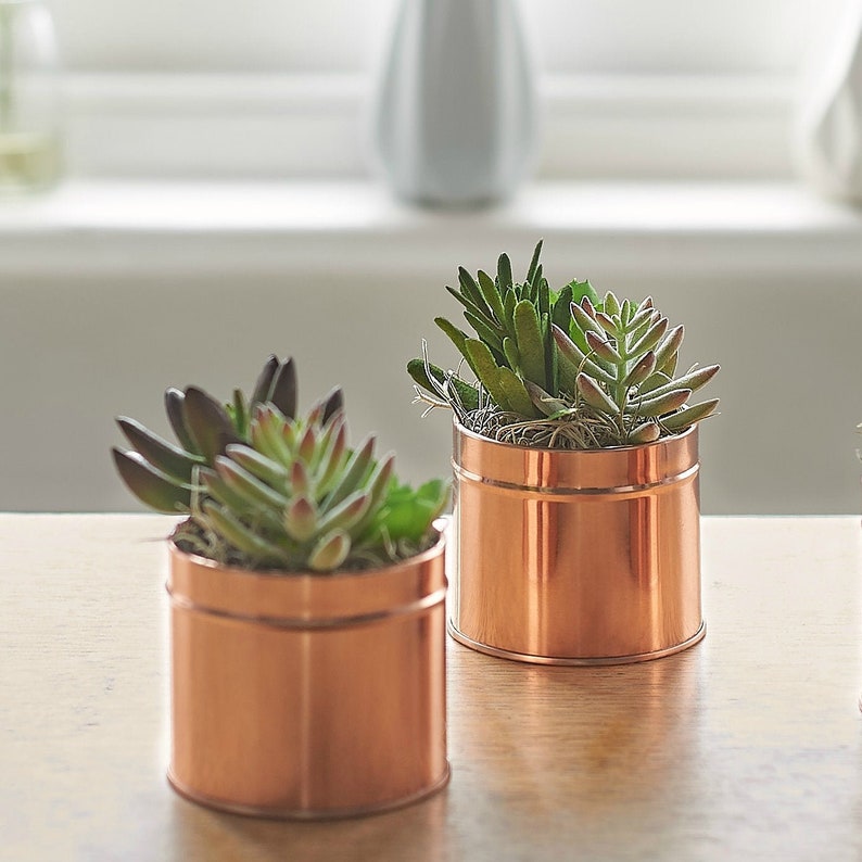 X1 Copper Coloured Tin of Faux Succulent Plants Artificial Etsy