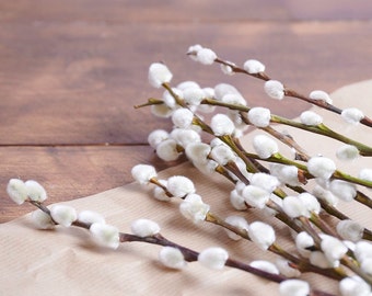 Freshly Cut Pussy Willow Bunch - Real Catkin Stems for DIY Wreaths| UK Florist