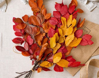 Preserved Copper Beech Bunch, Autumn Foliage, Vase Styling Stems