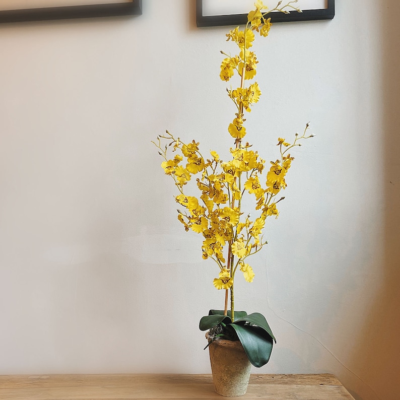 May include: A tall artificial plant featuring numerous small, vibrant yellow orchid flowers on slender stems. The plant is potted in a textured, light brown tapered container with several large, smooth, dark green leaves at the base of the stems.