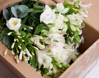 DIY White Flower Box: Seasonal Blooms for Home Arranging