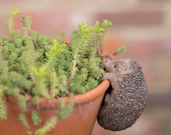 Little Hedgehog Pot Hanger | Home & Garden Planter Ornaments | Indoor Outdoor | UK Florist