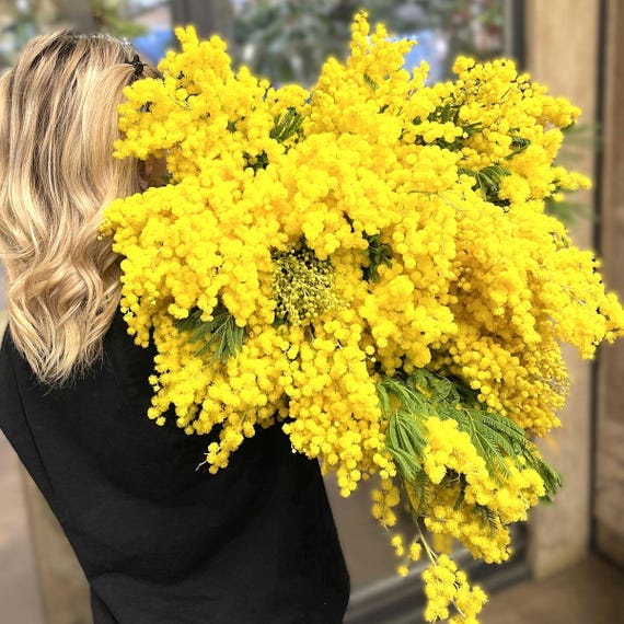 Fresh Mimosa & Foliage Mixed Box | Spring Flowers (40cm Stem)