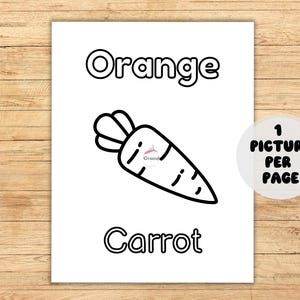 Picture of a Carrot on an "orange" page. Shows that there is 1 picture per page.