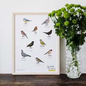 Cartel de detectives de British Garden Birds - talla A3