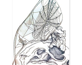 Mouse Skull Spiderweb Art Print | Macabre Nature Study Poster | Gothic Wall Art