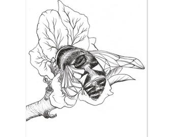 Bee Flower Ink Drawing Art Print | Boho Nature Wall Art, Matte Poster