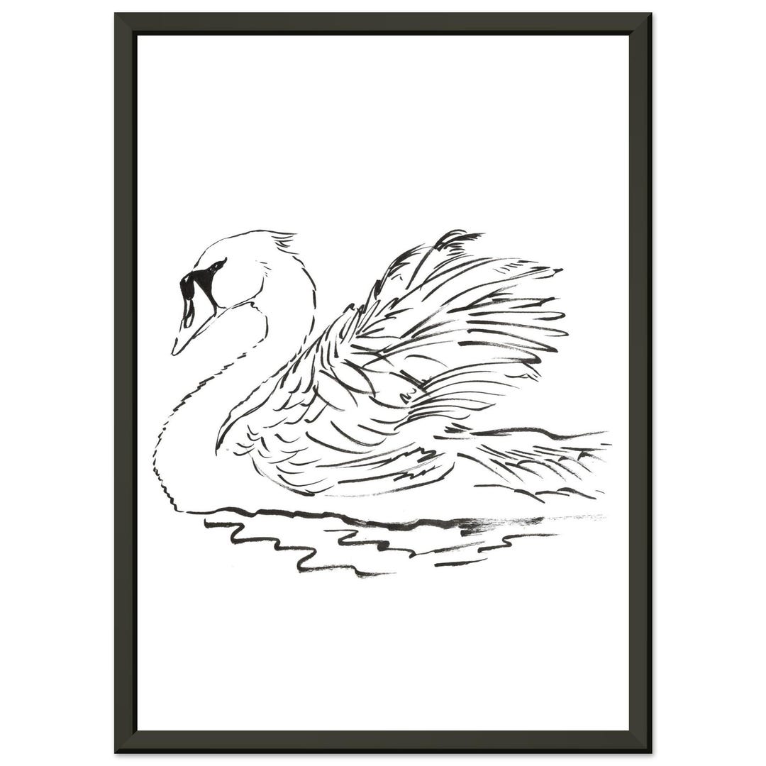 Swan Ink Drawing Elegant Swan in Lake Ink Sketch - Framed Poster Art - Stunning Decor ...