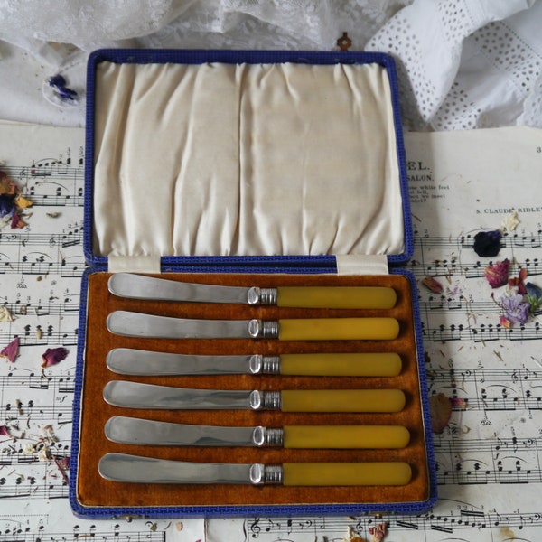 Vintage Butter Knives with Bakelite Handle in Original Case
