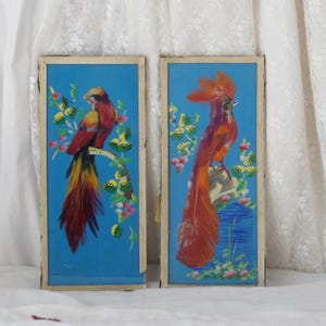 Pair of Vintage Feather Bird Paintings