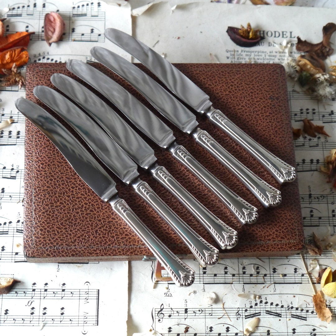 Vintage Stainless Steel Butter Knives in Original Case Etsy