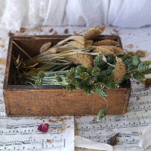 Vintage Rustic Wooden Open Display Box - Etsy UK