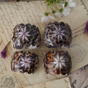 Shell Napkin Rings with Flower Design Set of Four