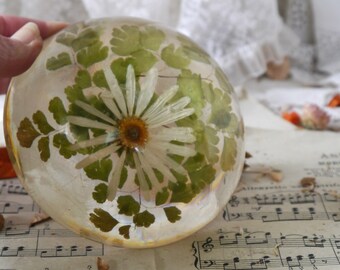 Vintage Lucite Flower Paperweight