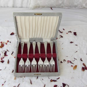 Könnte beinhalten: Ein Set aus sechs Silber-Gabeln, präsentiert in einer grauen Box mit rotem Samt-Innenraum. Die Gabeln sind ordentlich angeordnet, und die Box ist geöffnet, wodurch das Besteck sichtbar wird.