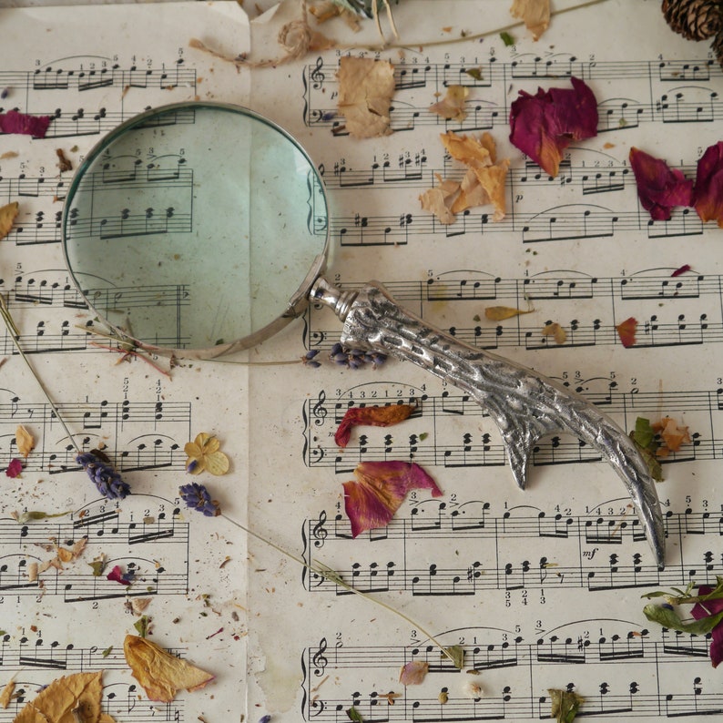 Peut inclure: Une loupe argent&eacute;e avec un manche en bois, pos&eacute;e sur une feuille de musique avec des fleurs et des feuilles s&eacute;ch&eacute;es &eacute;parpill&eacute;es dessus.
