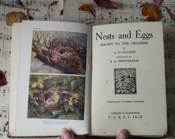Nests and Eggs Shown to Children by A. H. Blaikie and J. A. Henderson