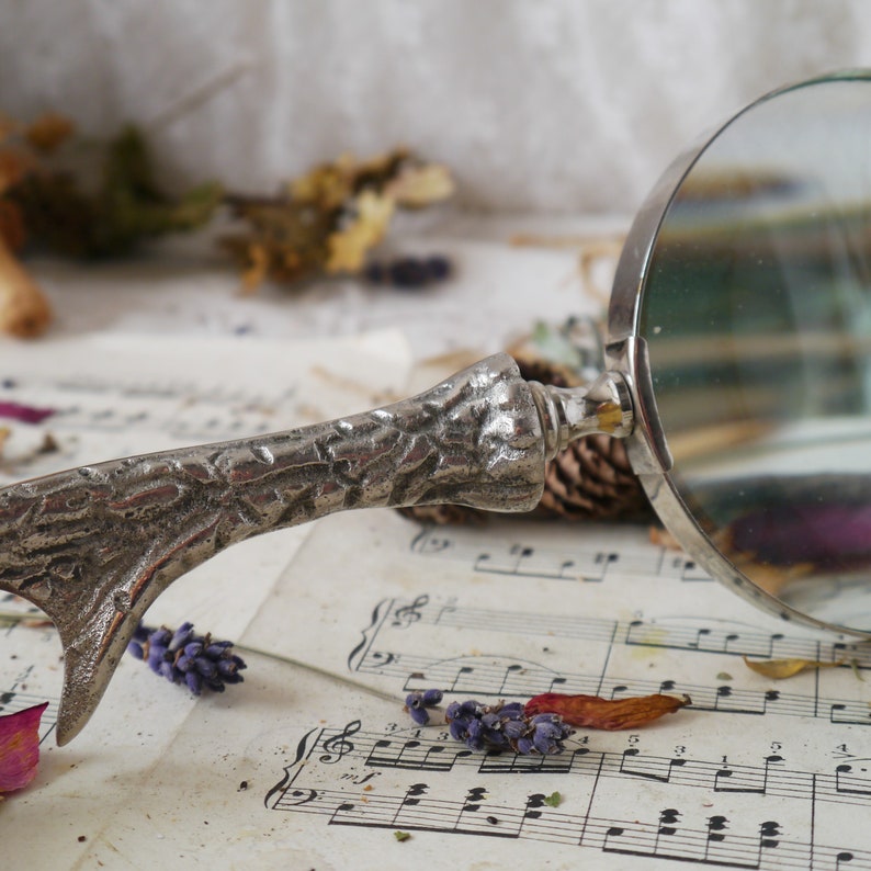 Peut inclure: Une loupe argent&eacute;e avec une poign&eacute;e textur&eacute;e en forme de branche d'arbre. La loupe est pos&eacute;e sur une feuille de musique avec des fleurs violettes.