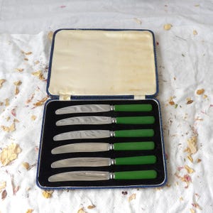 May include: A set of six silver-toned knives with solid green handles, arranged horizontally within a rectangular blue storage case featuring a cream-colored interior lining and a black velvet-textured base for the cutlery.