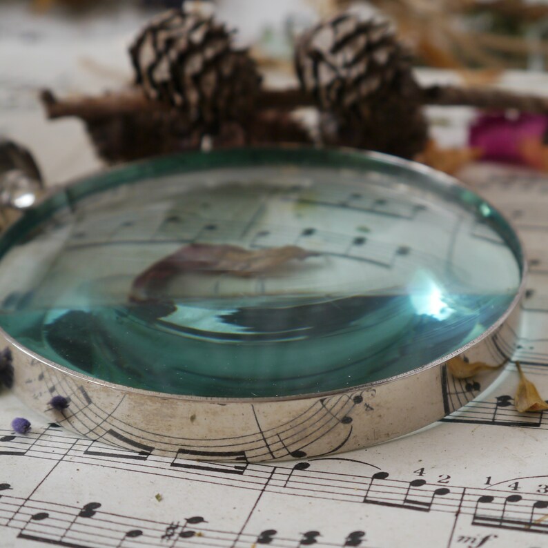 Peut inclure: Une loupe &agrave; bordure argent&eacute;e avec une lentille bleu-vert repose sur une feuille de musique. Un p&eacute;tale de fleur s&eacute;ch&eacute; est visible &agrave; travers la lentille.