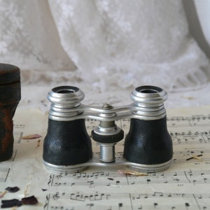 Vintage Metal Opera Glasses in Case