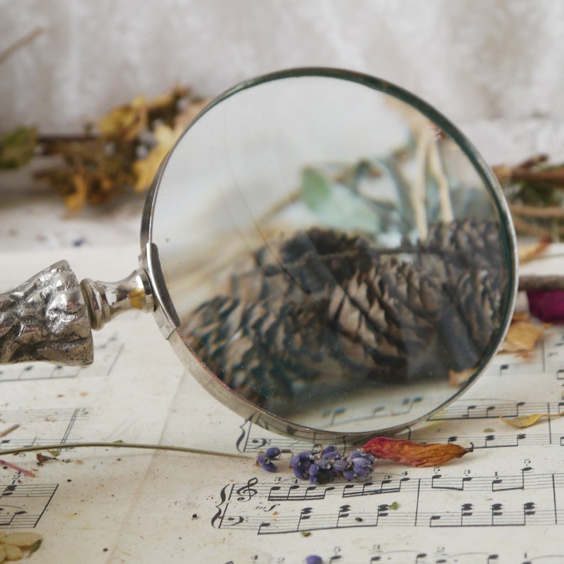 Peut inclure: Une loupe en argent avec une poign&eacute;e d&eacute;corative repose sur une feuille de musique. La loupe refl&egrave;te un arrangement de fleurs s&eacute;ch&eacute;es.