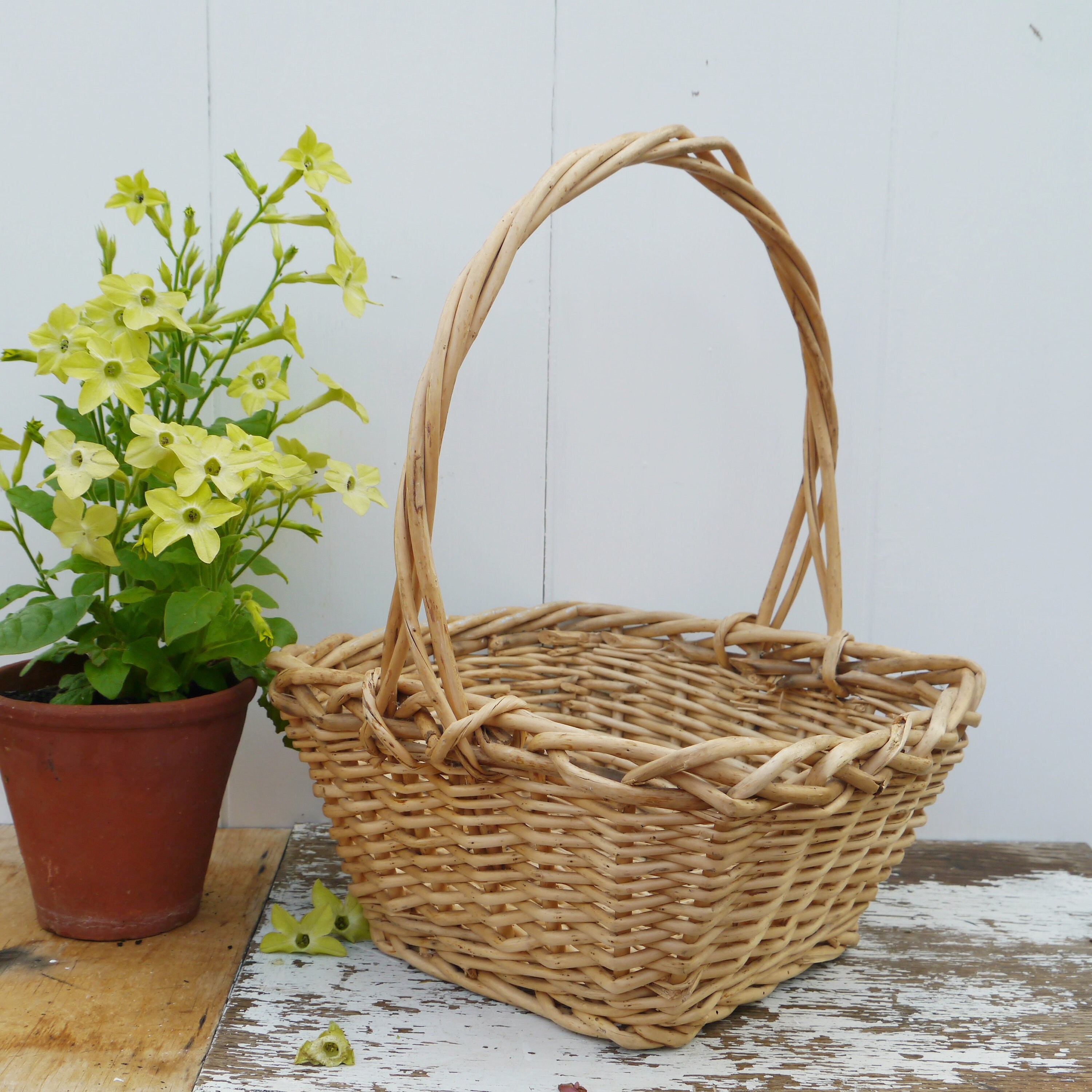 Small Square Wicker Basket Etsy