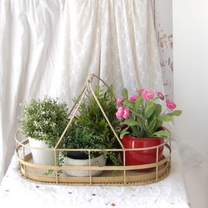 May include: A metal tray with a handle contains three potted plants. The plants include a white-potted plant with small white flowers, a green plant in a black pot, and a pink-flowered plant in a red pot.