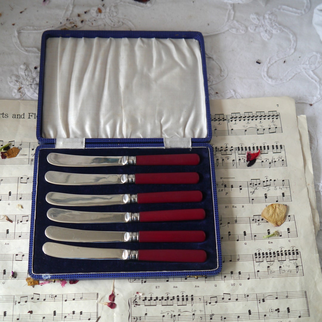 Set 12 Vintage Bone Handle Butter Knives - A G Hendy & Co Homestore