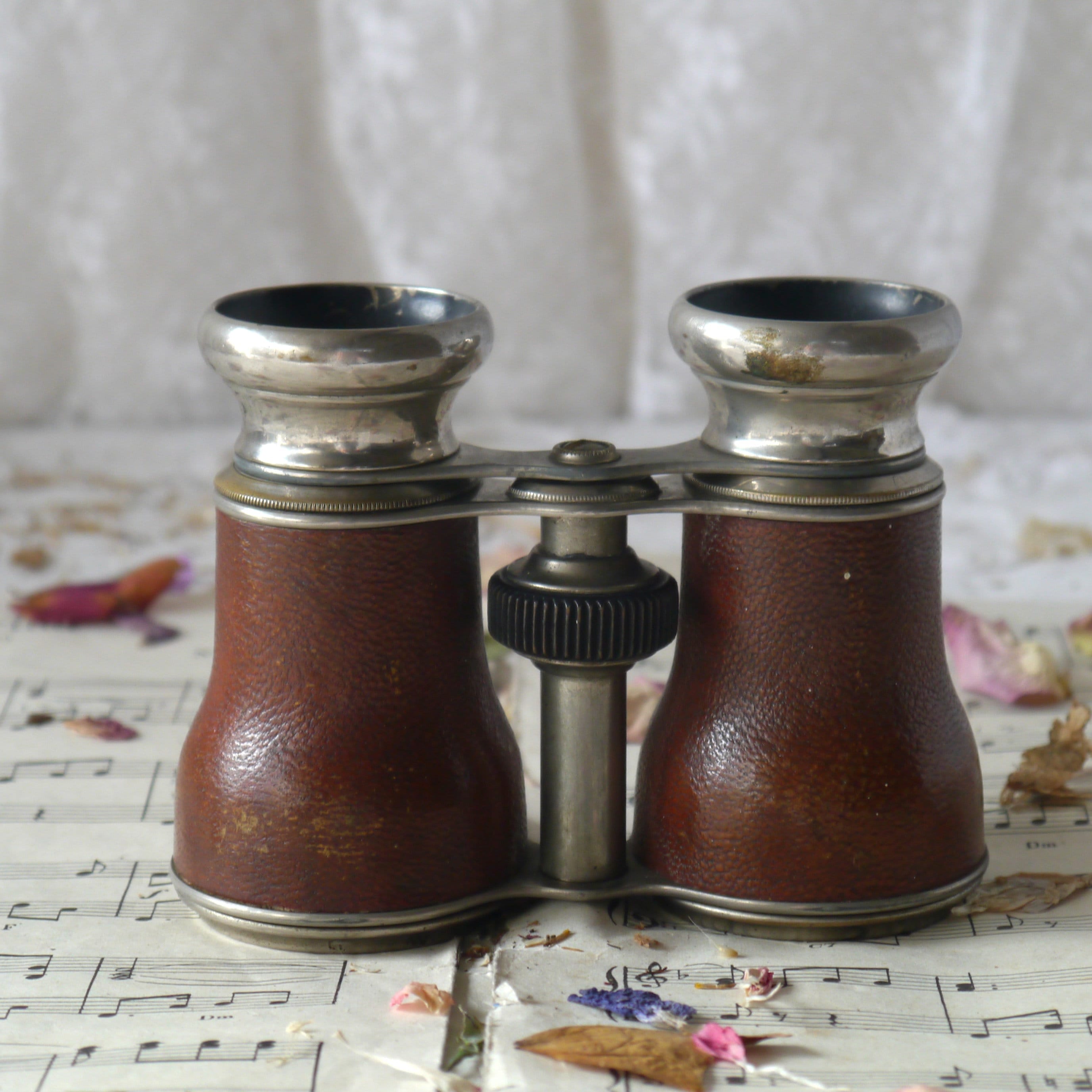 Pair of Antique Field Binoculars India
