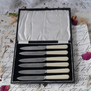 Vintage Tea Knives with Cream Handles in Original Case