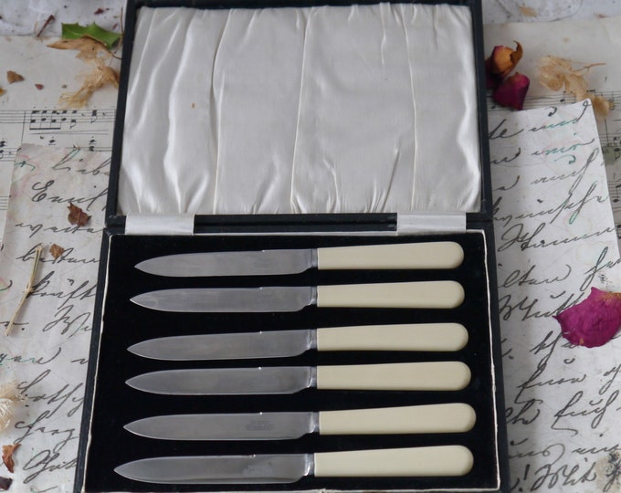 Set of Vintage Tea Knives in Original Case