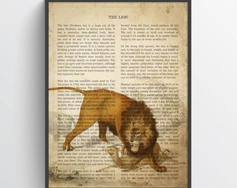 Vintage Lion Print, Safari Painting, Panthera Leo Illustration, Lion Art, Antique Natural History Drawing, Zoo animals