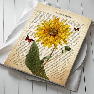 Sunflower Print, Housewarming Gift, Sunflower Dictionary Art, Botanical Wall Decor, Flower Book ...