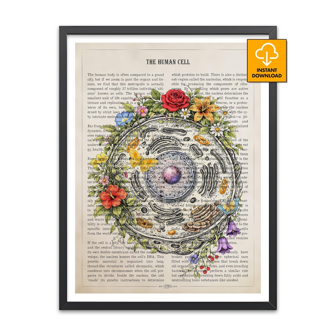 Vintage Floral Human Cell Poster, Biology Anatomy Wall Art, Eukaryotic ...