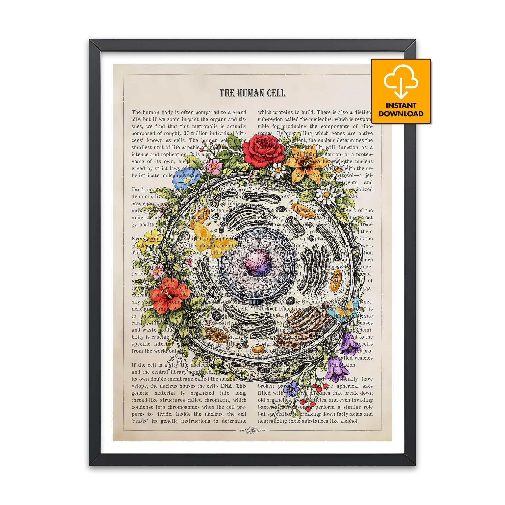 Vintage Floral Human Cell Poster, Biology Anatomy Wall Art, Eukaryotic ...