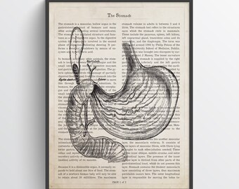 Stomach Anatomy Print, Digestive System, Gastroenterologist Gift, Gastroenterology Art, Physician Office Decor, Doctor Medical Print