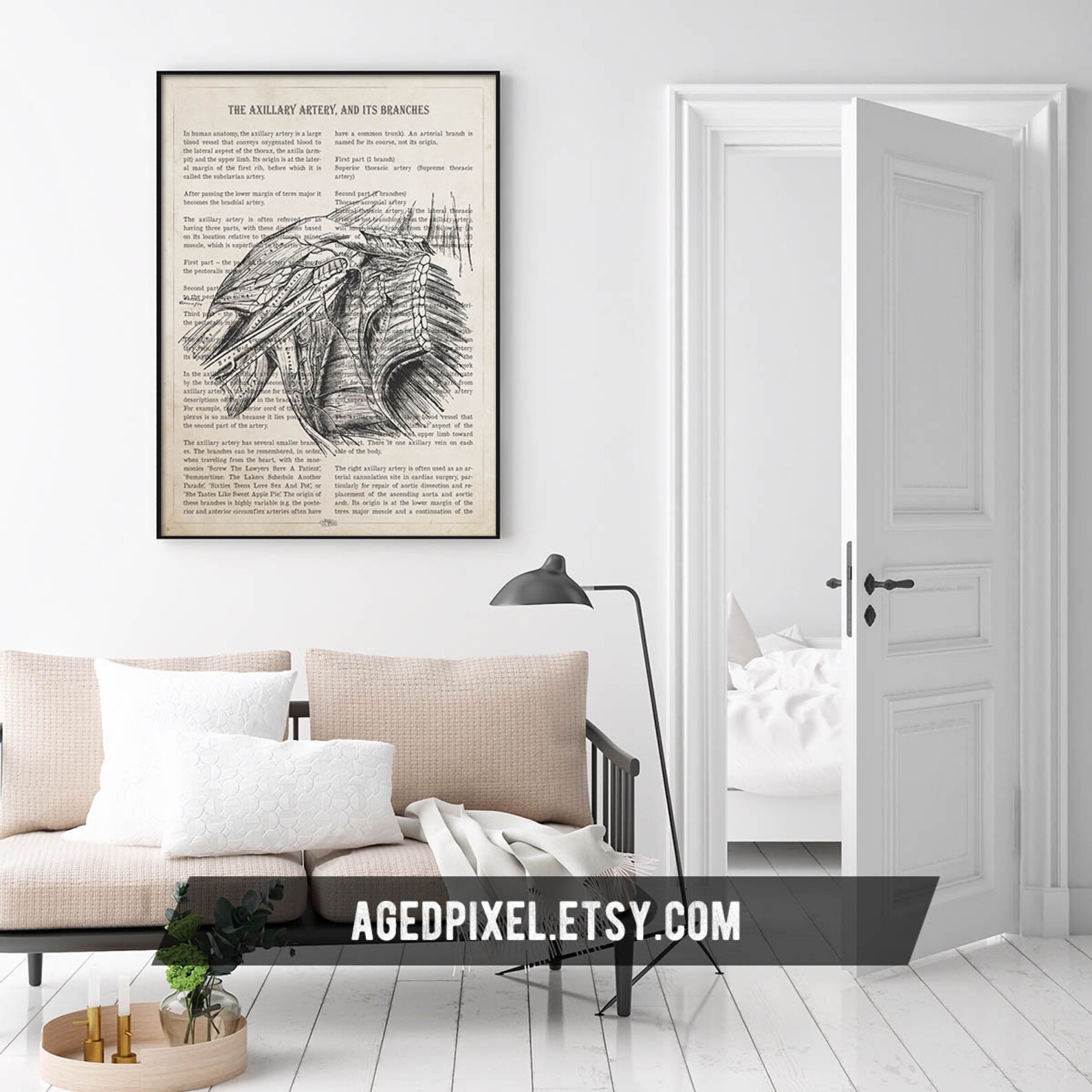 Axillary Artery Anatomy Print, Gift for Vascular Doctor, Vascular ...