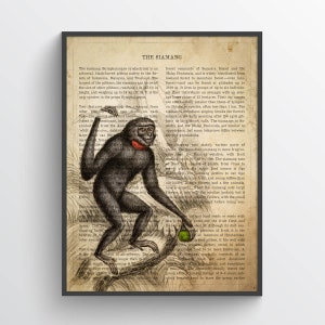 Vintage Siamang Print, Safari Painting, Monkey Illustration, Ape Art, Antique Natural History Drawing, Zoo animals