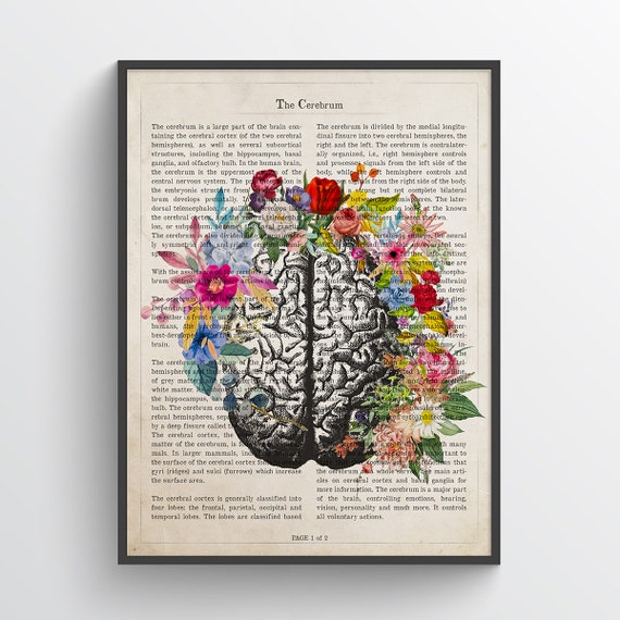 pics Cerebro Zoom Background cerebrum flower anatomy print psychology neurologist gift etsy