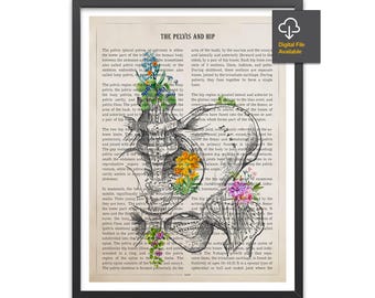 Pelvis and Hip Anatomy Flower Print, Physical Therapy Gift, Chiropractor Print, Medical Art, Doctor Gift Orthopedic Art Medical Office Decor