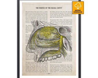 Nasal Cavity Nerve Art, ENT Specialist Gift, Olfactory Anatomy Print, Human Face Diagram, Medical Student Decor, Retro Science Poster, Nose