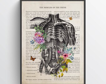 Muscles of the Trunk Anatomy Print, Chiropractor Gift, Licensed Massage Therapist Graduation, Physical Therapy Decor, RMT Graduation Present