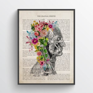 Cranial Nerves Flower Anatomy Print, Medical Poster, Neurologist Gift, Medical Student Gift Idea, Doctors Office Decor, Physician Art