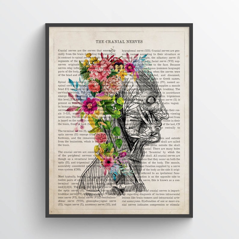 Cranial Nerves Flower Anatomy Print, Medical Poster, Neurologist Gift ...