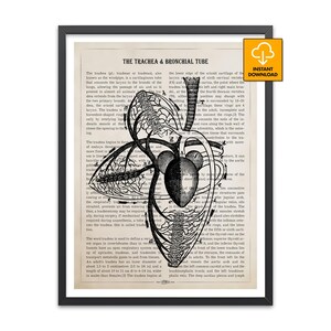 Può includere: Stampa artistica anatomica con un'illustrazione dettagliata in bianco e nero della trachea e dei bronchi, con testo tratto da un libro di testo medico vintage. La stampa è incorniciata in una cornice nera.