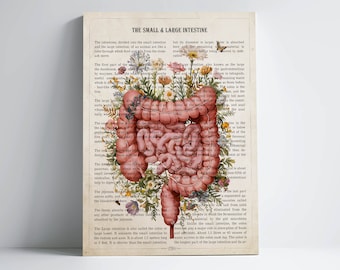 Intestine Anatomy Flower Print, Gastroenterologist Gift, Small intestine & large intestine, digestive health, Digestive system Clinic Decor