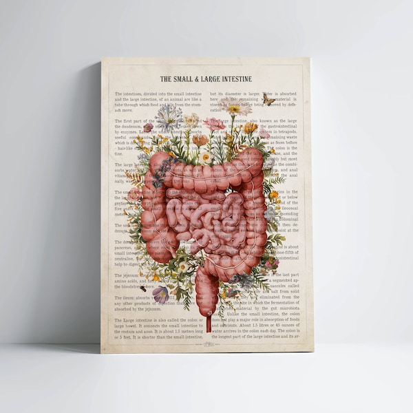 Intestine Anatomy Flower Print, Gastroenterologist Gift, Small intestine & large intestine, digestive health, Digestive system Clinic Decor