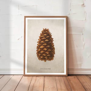 Retro Pine Cone Art Print Conifer Botanical Poster Vintage Forest Wall Decor for Rustic Cabin Tree Wall Art Hunting Gift for Dad