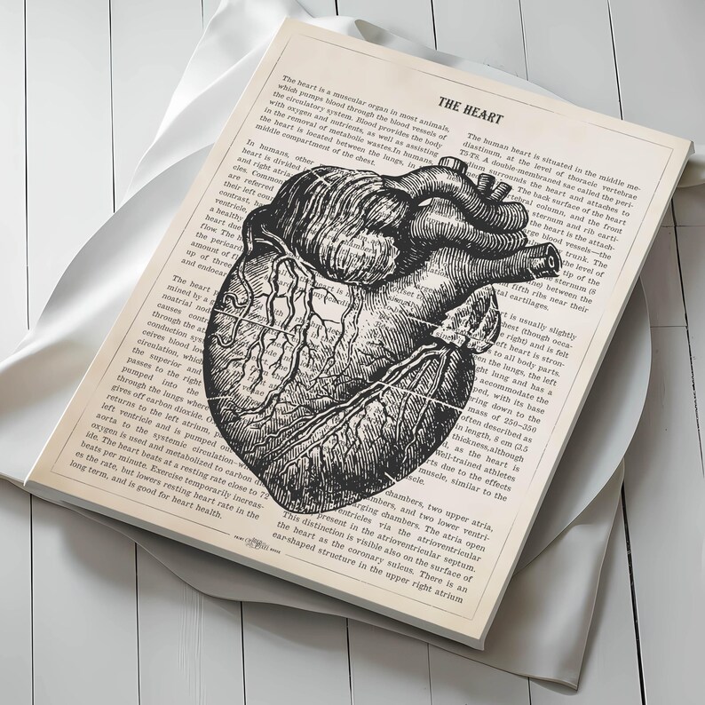 May include: A vintage anatomical illustration of the human heart, with detailed drawings of the chambers and valves. The text surrounding the image describes the heart's function and location in the body. "The heart is a muscular organ in most animals, which pumps blood through the blood vessels of the circulatory system. Blood is provided with oxygen and nutrients, and attaches to the removal of metabolic waste. In humans, the heart is located between the lungs, in the middle compartment of the chest."